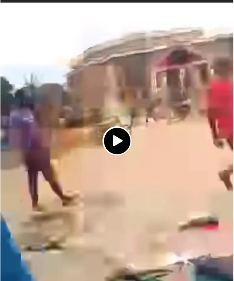 Ga cikakken Bidiyon Abinda Ya faru da Yan Arewa Wanda Su yan Kudu Suka ƙone Su da Ransu